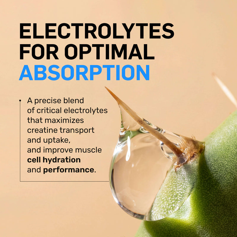 Creatine HCl Powder - Unflavored